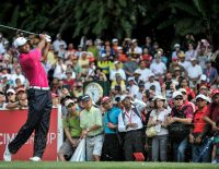 Tiger Woods Vegas Sportsbooks