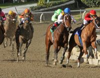 Preakness Stakes Horses