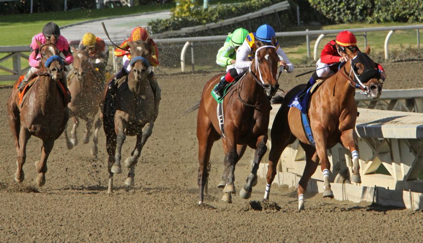 Preakness Stakes Horses