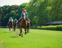 El Camino Horse Racing