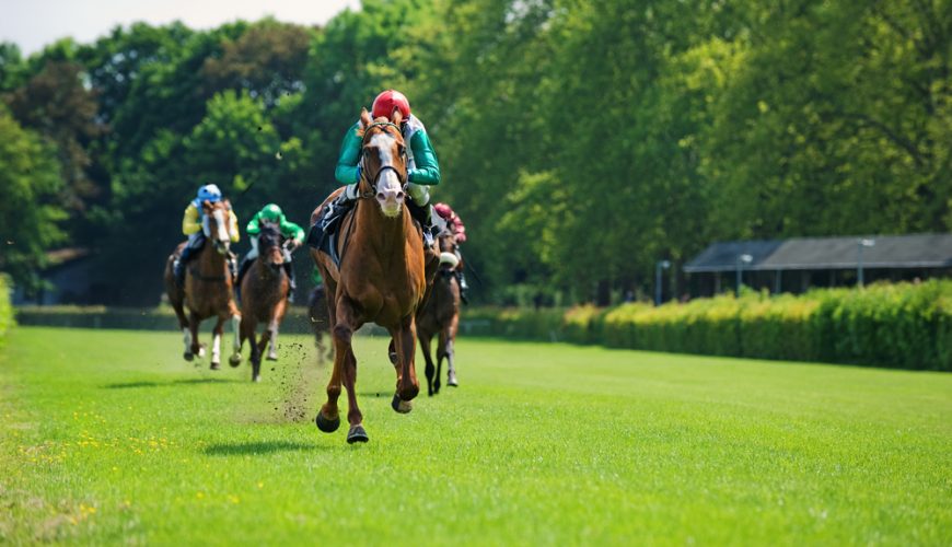 El Camino Horse Racing