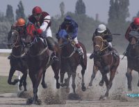 Vegas Betting Belmont Stakes