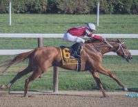 VGB Haskell Invitational