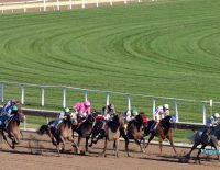 Pegasus Horse Racing