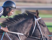 VGB Royal Ascot Gold Cup