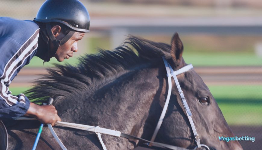 VGB Royal Ascot Gold Cup